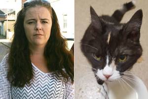 naturist beach erections and girls - TescoTesco offers family Â£250 after delivery driver runs over sleeping cat  thinking it was 'roadkill'