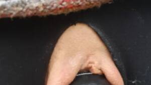 fat pussy on bicycle seats - Little Wet Kitty Spreads Her Lips Open Wide on Her Bike Seat Out in Public!  - Free Porn Videos - YouPorn