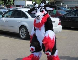 Furry Convention Extreme Adult Porn - Mark Hill