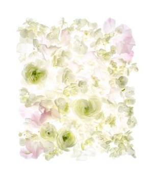 Clarins Porn - Trunk Archive - Search Result