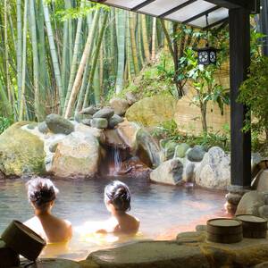 japanese public hot spring sex - Crocodiles' could spell the end of Japan's tradition of nude mixed bathing  | Japan | The Guardian