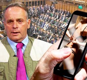 Mp Porn - MP Neil Parish breaks down as he quits for watching porn in Commons â€“ but  claims he was trying to look at TRACTORS | The Sun