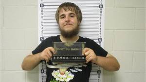 Angelica Kitten Porn Captions Caption - Internet sleuths tipped off police about man charged in Branson kitten  killing