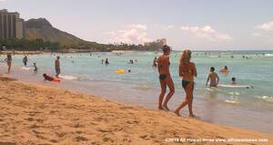 Hawaiian Beach Sex - All Hawaii News: Tourism contract in dispute, sea level rise puts focus on  coast, Pearl City teacher accused of sex assault, child porn, to remain  behind bars, more news from all the