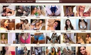 Large Porn Tube - LargePornTube & 32+ Best Porn Search Engines Like LargePornTube.com