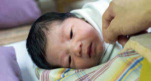 Baby Sucking - Harvey Karp's \