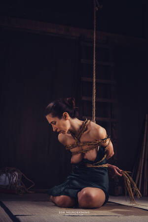 Japanese Bondage Porn Drawings - Researching Kinbaku Porn Art |