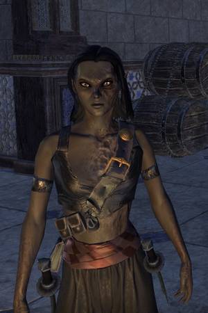 Argonian Dunmer Porn - Leskandera used to be pretty, but then she took a burning building to the  face and chest.