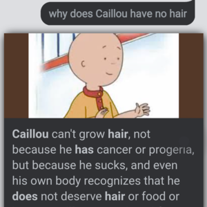 Caillou Porn Captions - An interesting title. : r/comedyheaven