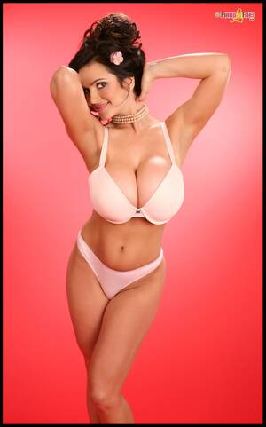 Milani Porn Star - Free Porn Pics of Denise Milani in sexy lingerie posing in front of the  camera - MyPornstarBook.net