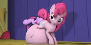Mlp Anal Vore Porn - Mlp vore - Tnaflix.com