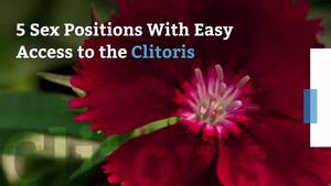 Best Sex Position Food - 