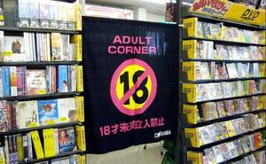 japanese sex survey - What happens to Japanese porn stars after they retire? - Japan Today