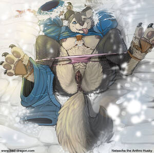 Anthro Pussy Porn - Statistics