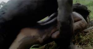 Cannibal Sex - Cannibal Holocaust infamous rape scenes - ForcedCinema