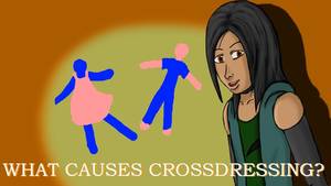 animated cartoon crossdressers sex videos - What Causes People To Crossdress?