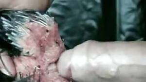 chicken fucking big cocks - chicken ass pounded by human cock