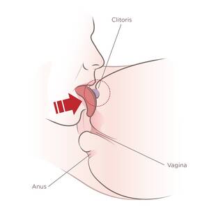 clit sucking techniques - How To Eat Pussy Like A God: 34 Cunnilingus Tips To Make Her Addicted