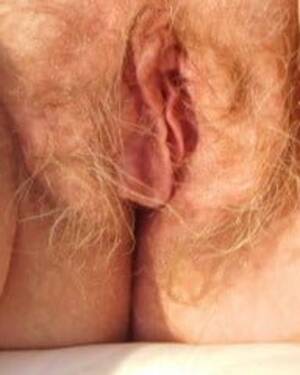 Mature Hairy Pussy Close Up - Hairy Mature Close Up Porn Pics - PICTOA