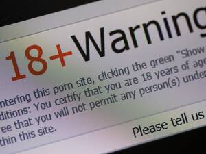 Amateur Porn Industry - Group of US women sue 'amateur' porn producer over 'coercion and lies' |  World news | The Guardian