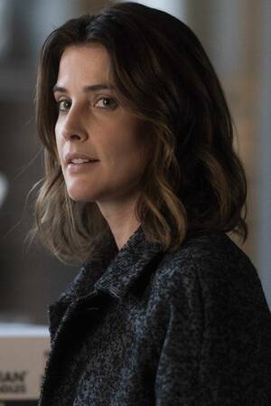 Cobie Smulders Porn Pornhub - Cobie Smulders sets ABC drama based on Stumptown graphic novels