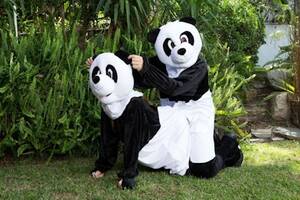 in panda costume - Why Pornhub Wants You To Have Sex In A Panda Costume Today