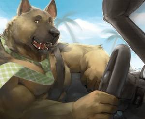 German Shepherd Furry Porn - ralphthefeline: â€œGerman Shepherd is driving on his fancy convertible car  with wind on his fur~He better watch out where he's going instead of  looking at ...