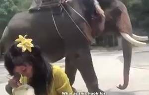 elephant cock deepthroat - Brunette babe gets face fucking by elephant black dick then - Biguz.net