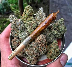 Cannabis - Some more weed porn