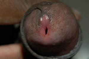 close up asian dick - Asian My Cock Head Closeup High Definition Porn Pic Gay Cum