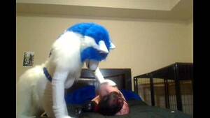 Gay Furry Sex - Furry gay sex - XVIDEOS.COM