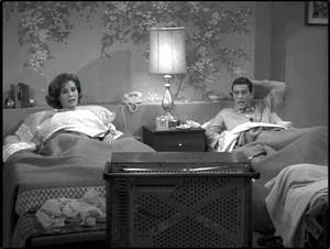 Dick Van Dyke Show Porn - 
