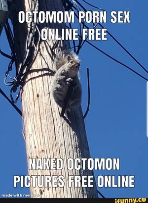 Nadya Suleman Fucking Porn - Nadya memes. Best Collection of funny Nadya pictures on iFunny