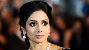 Indian Bollywood Porn Bbc - Sridevi \