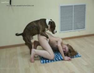 Breeding Bench Porn - Girl on breeding bench for dogs - Extreme Porn Video - LuxureTV