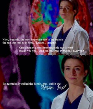Amelia Greys Anatomy Porn - Amelia Shepherd - Grey's Anatomy - Season 11 Episode 14 - S11E14 - The  Distance - Dr. Herman - This quote courtesy of @Pinstamatic (http://pinstamâ€¦
