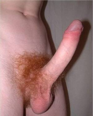 Amateur Penis Porn - Real amateur showing his big white penis Porn Pictures, XXX Photos, Sex  Images #2745991 - PICTOA