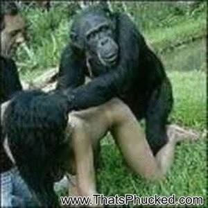 Girl Fucks Chimpanzee - Ape Fucks Woman