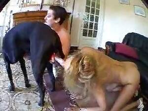 Bestiality Shit Porn - best shit porn videos page 1 at zoophilia.club