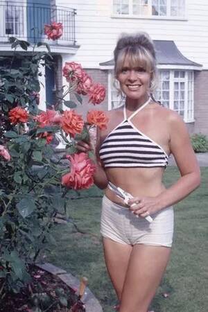 1960s Female Porn Stars - Who is Mary Millington? Everything you need to know about tragic porn star  honoured with blue plaque - Mirror Online