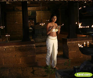 Malayalam Actress Kaniha Porn - Kaniha hot navel and cleavage show at Pazhassirja set