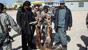 Iraq War Porn - Opinion | On the War Porn We Don't See | Common Dreams