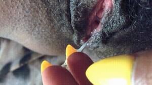 black pussy cum close up - Black Pussy Cum Porn Gif | Pornhub.com