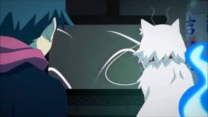 Anime Cat Ears Porn - 