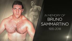 Bruno Nazi Porn - Nine things you need to know about Bruno Sammartino | WWE