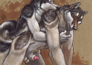 Bisexual Wolf Furry Porn - gay and bi furrys | MOTHERLESS.COM â„¢