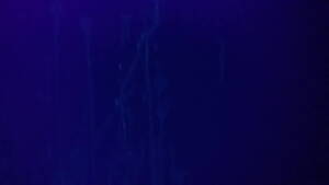 black light cum shots - Cumshot stains above bed under blacklight comment please - XVIDEOS.COM