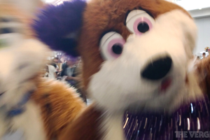live action furry xxx - When animals attract: Inside Anthrocon, the Furry utopia | The Verge