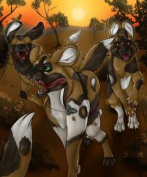 Furry African Porn - A Wild African Adventure gay furry comic - Gay Furry Comics