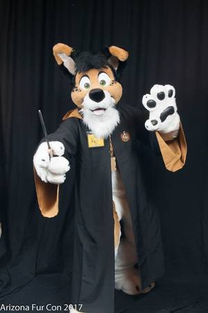 Arizona Furry - 0 replies 1 retweet 13 likes